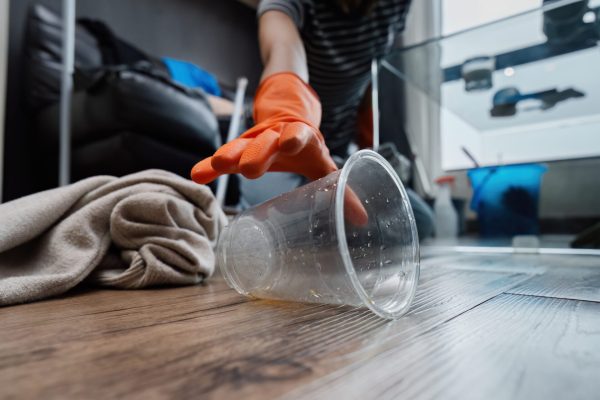 housekeeper is cleaning up the messy house after the party. The housekeeper wife clean house on weekend.